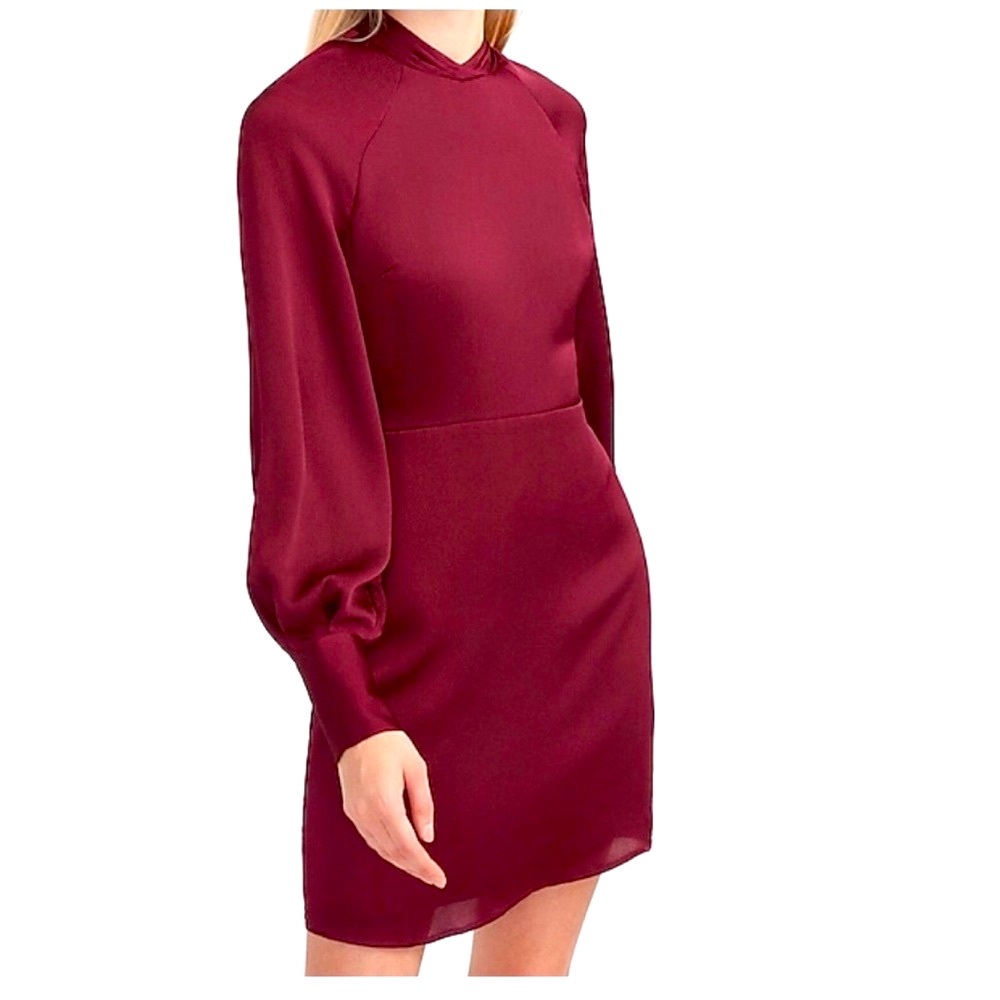 EXPRESS LUXURY DRESS - Picture 6 of 16